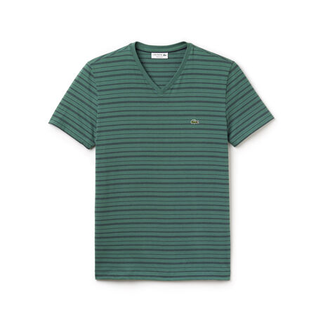 Fine Stripe V-Neck Tee Shirt